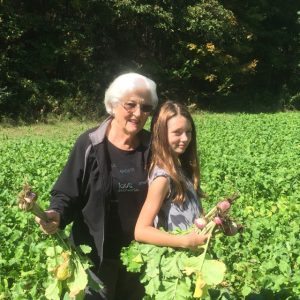 picking turnips in one of our wildlife foodplots